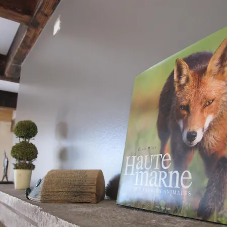 Dans L'air Du Temps * Flagey