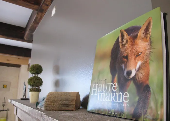 Dans L'air Du Temps * Flagey