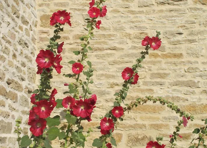 Dans L'air Du Temps Appartement *