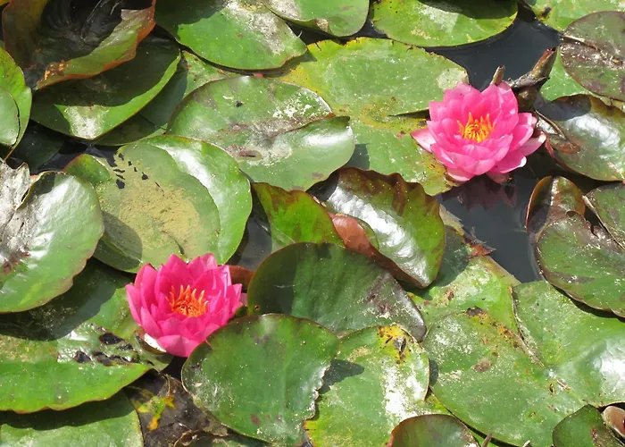 Appartement Dans L'air Du Temps